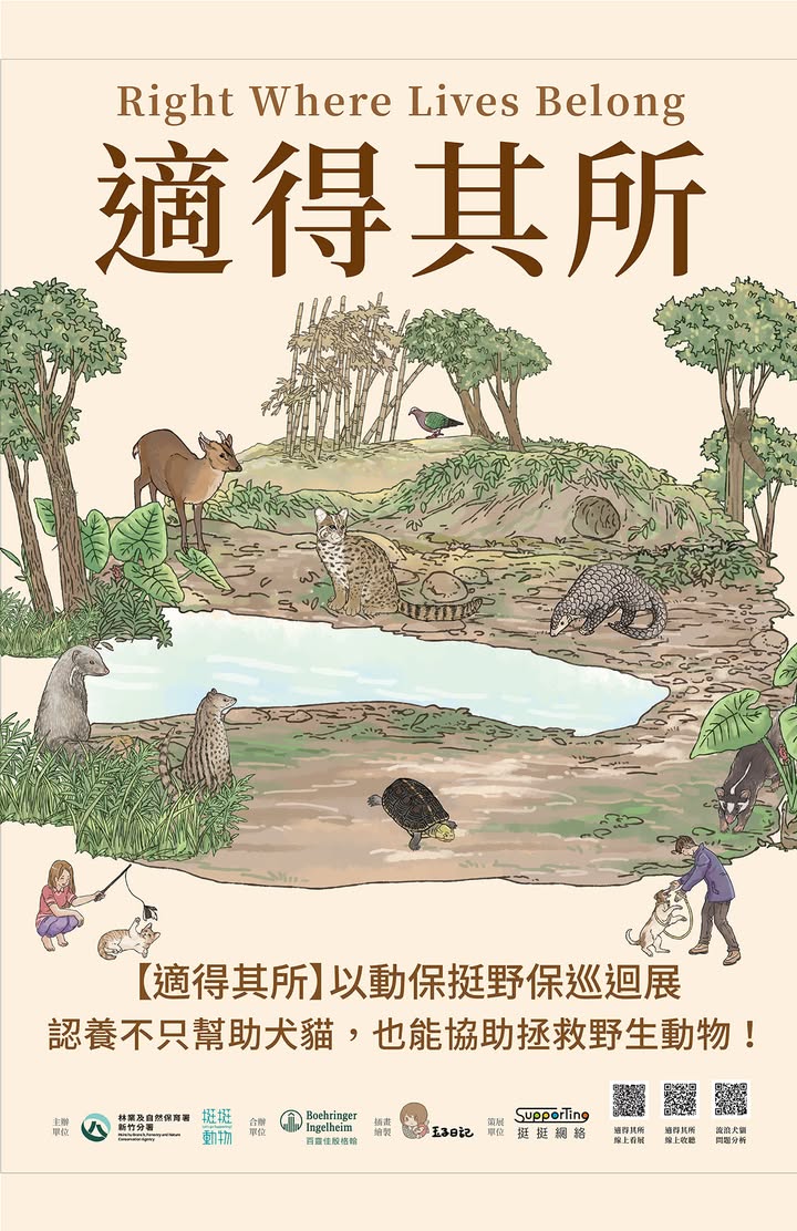 貼文圖片