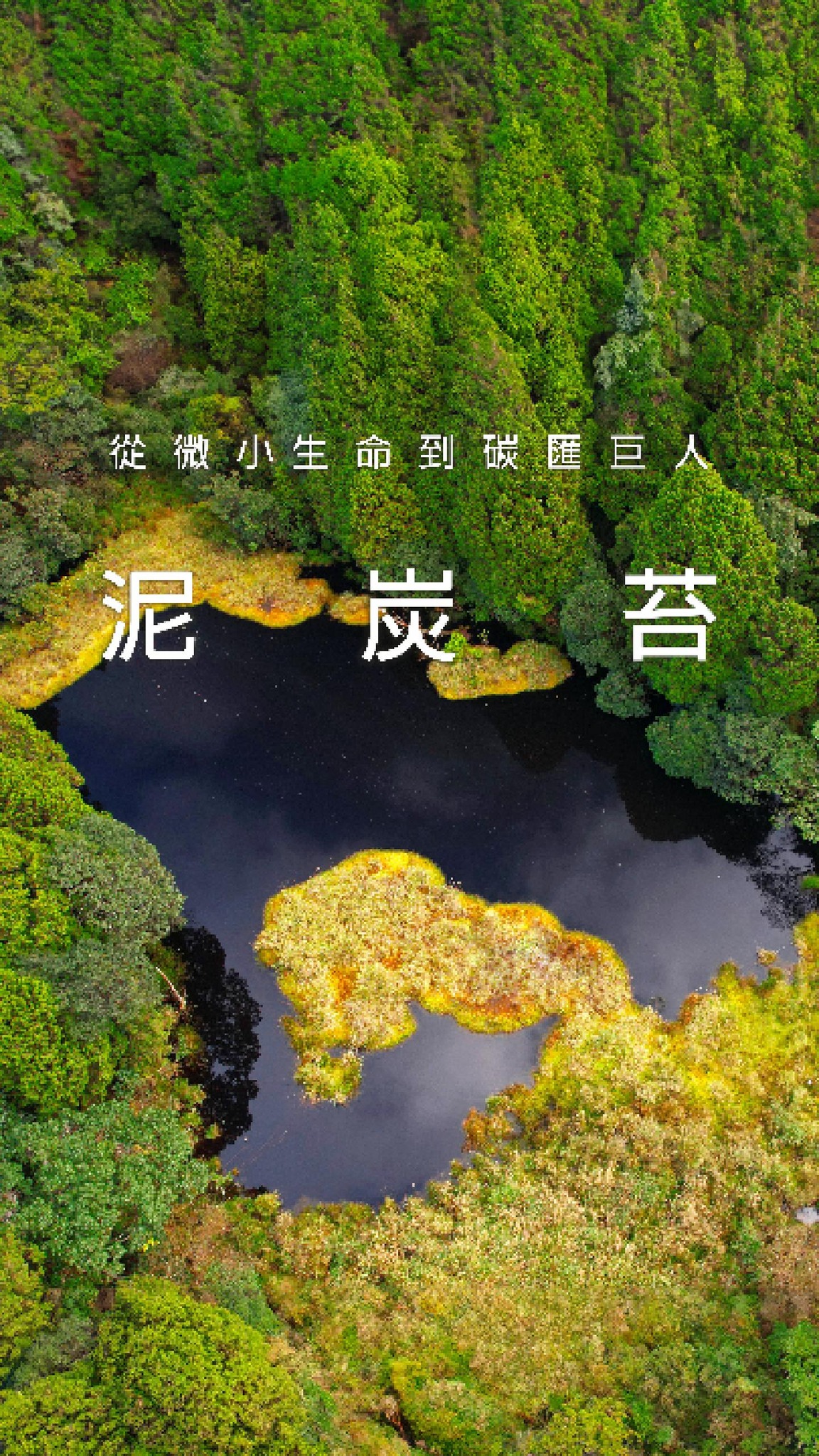 貼文圖片