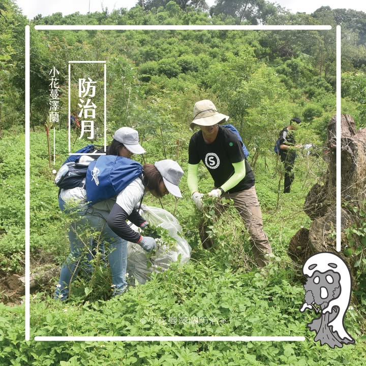 貼文圖片