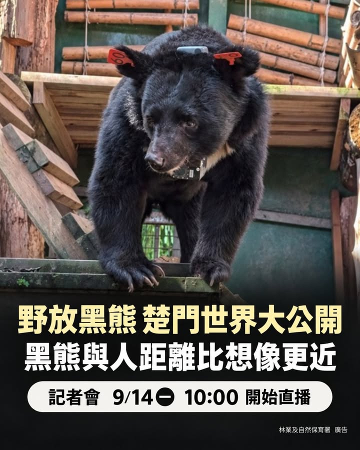 貼文圖片