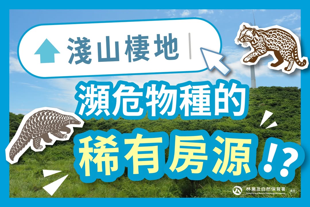 貼文圖片
