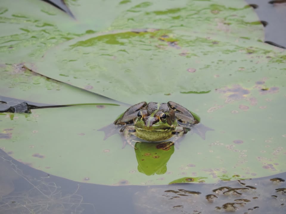 貼文圖片