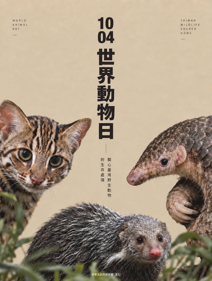 貼文圖片