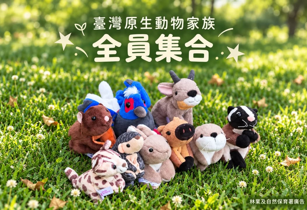 貼文圖片