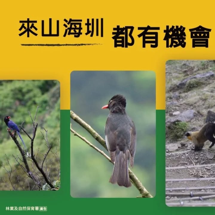 貼文圖片