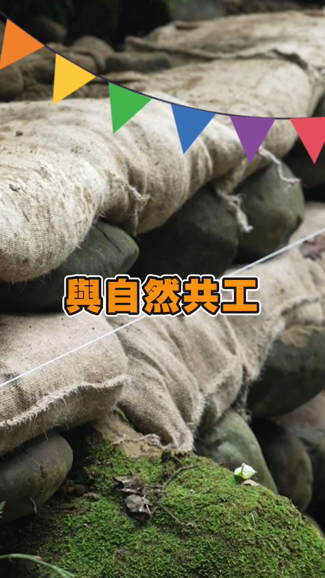 貼文圖片