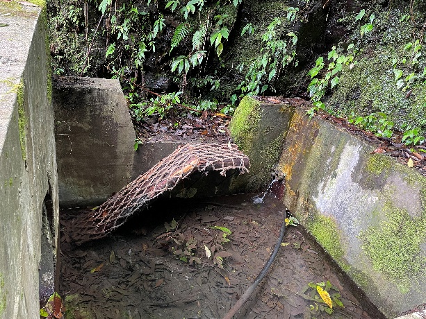 協助野生動物攀爬或通行