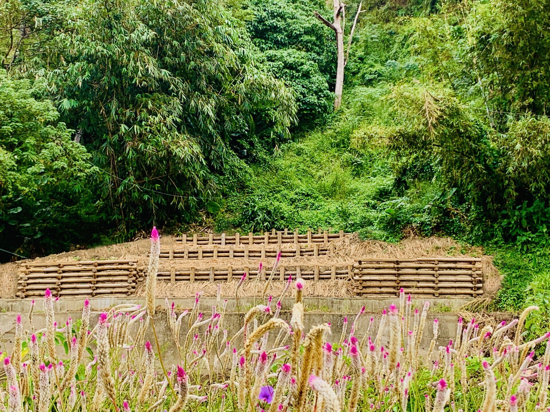 大安溪2林班山腳圳旁崩塌地處理1期工程