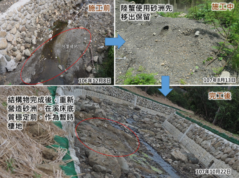 復育相似棲地、進行植生工程、恢復水域自然性等