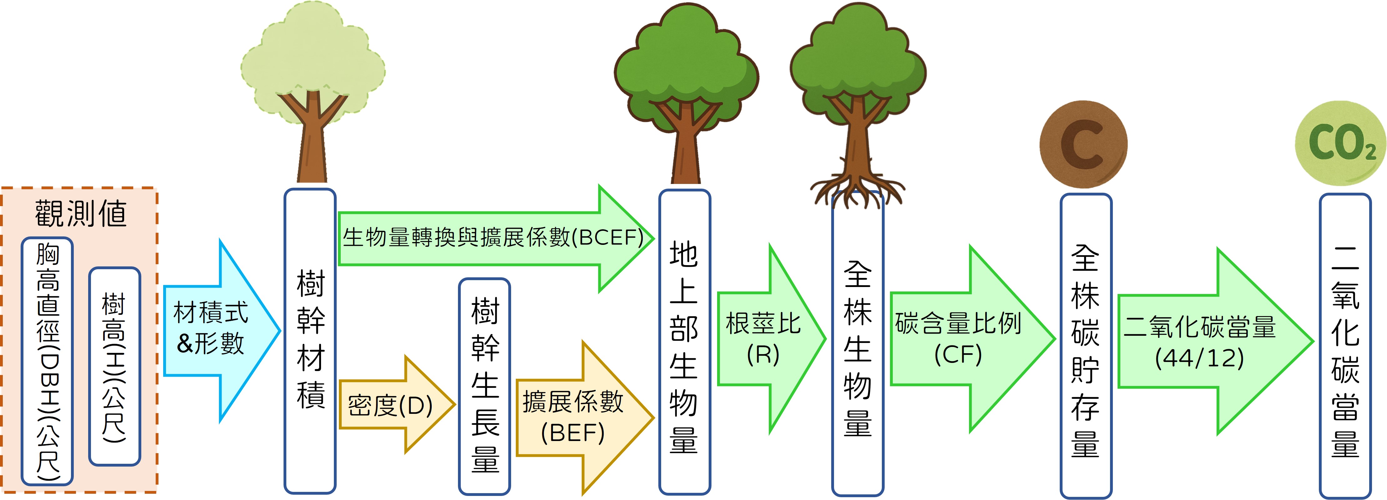樹木碳儲存量計算