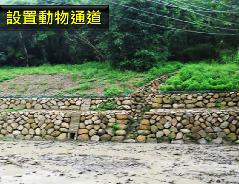 設置動物通道