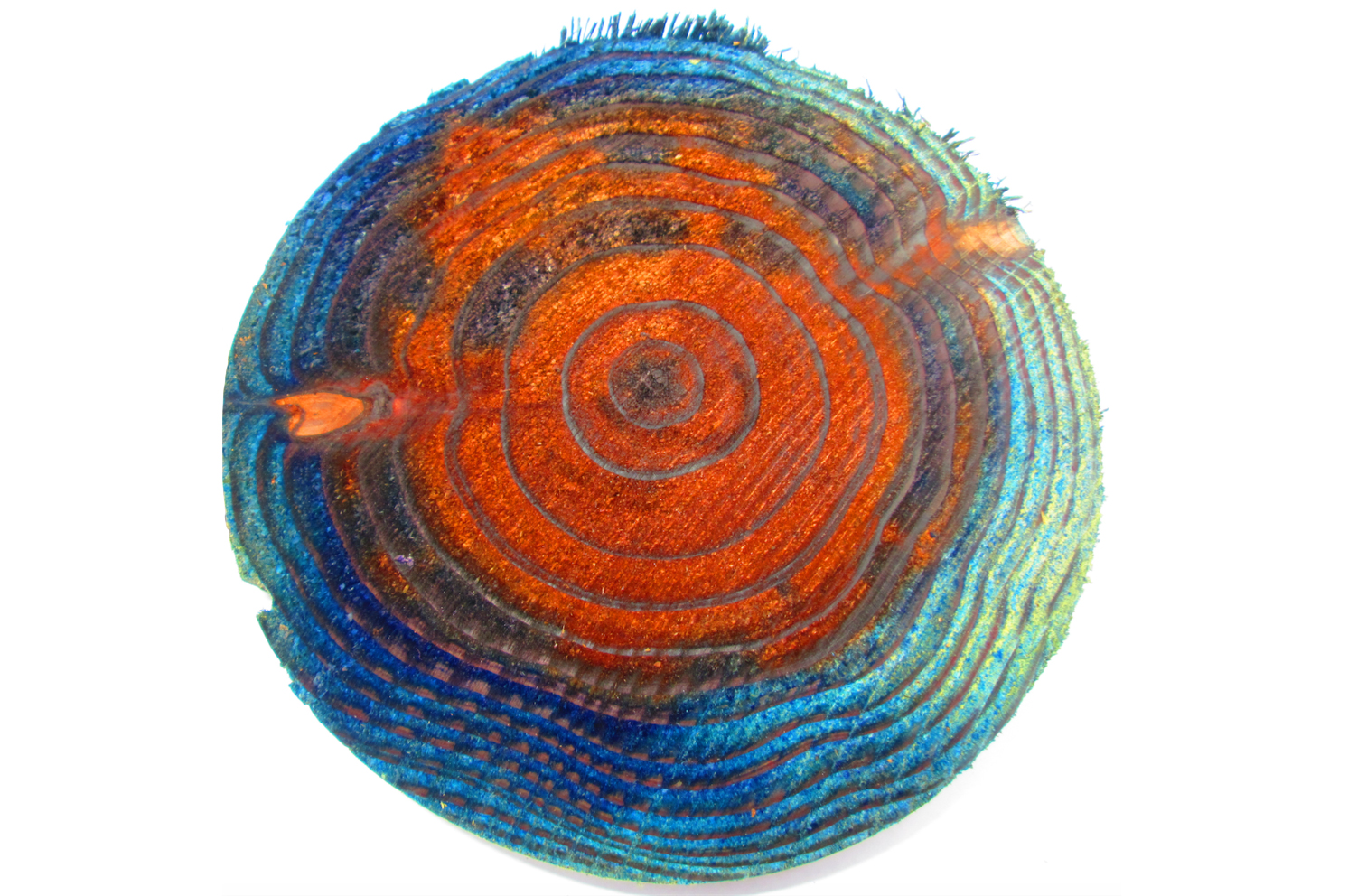 Permeability of preservatives of K4 grade cedar logs