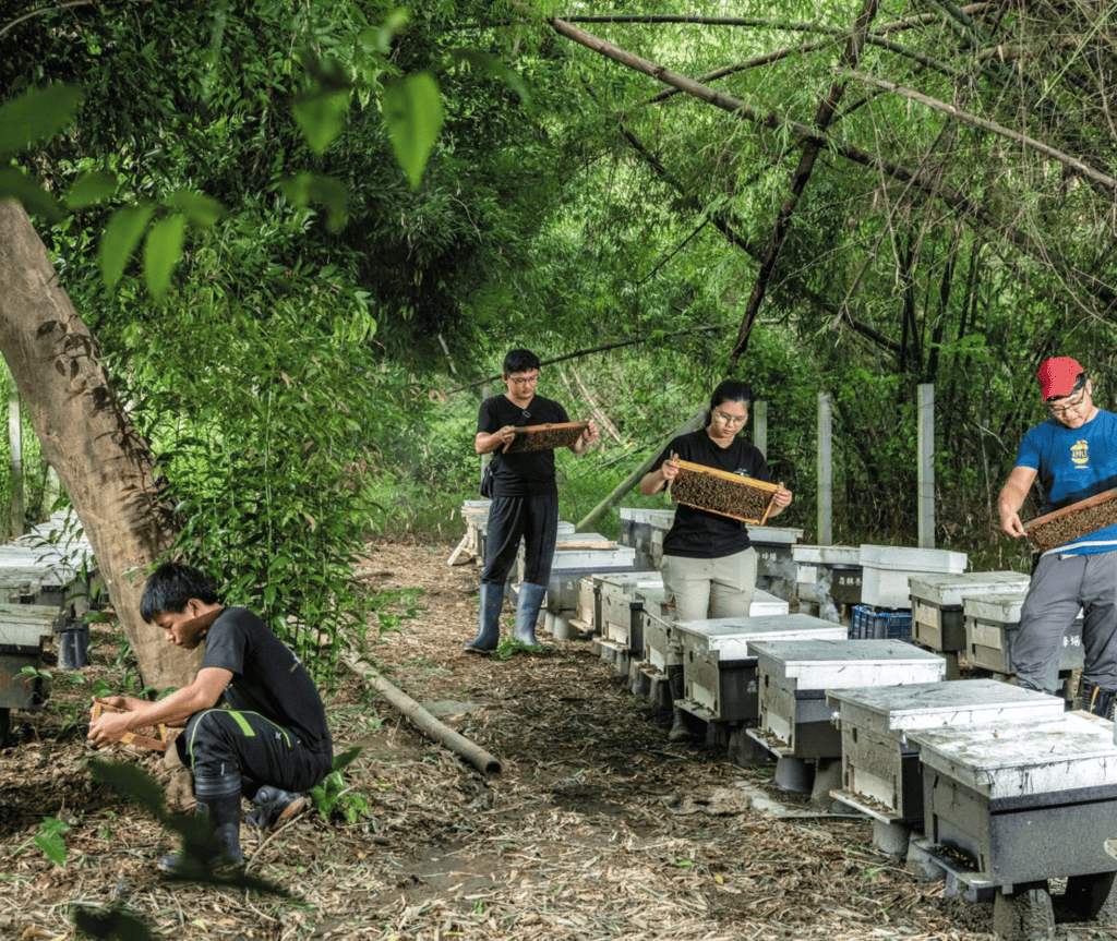 Forest Beekeeping Products

