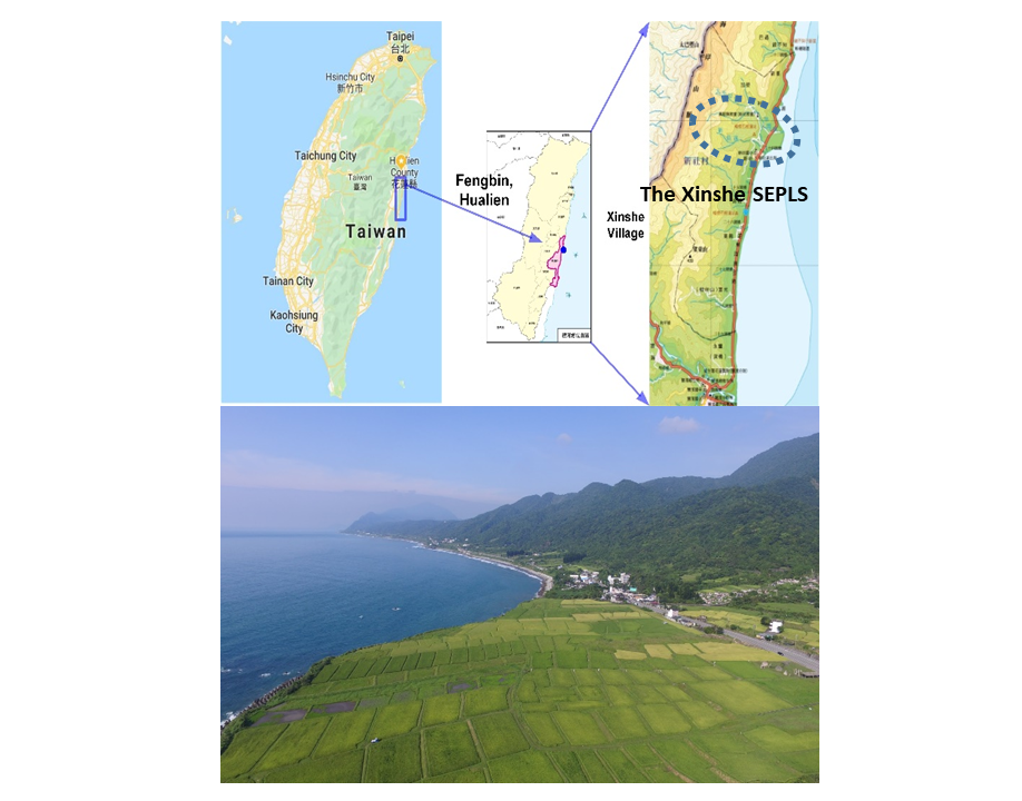 The Xinshe SEPLS – a gem of Taiwan’s east coast
