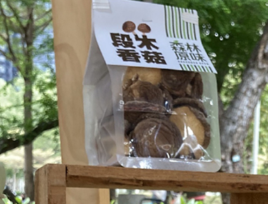 輔導段木香菇產品設計開發，林農獲得林下經濟產品驗證標章