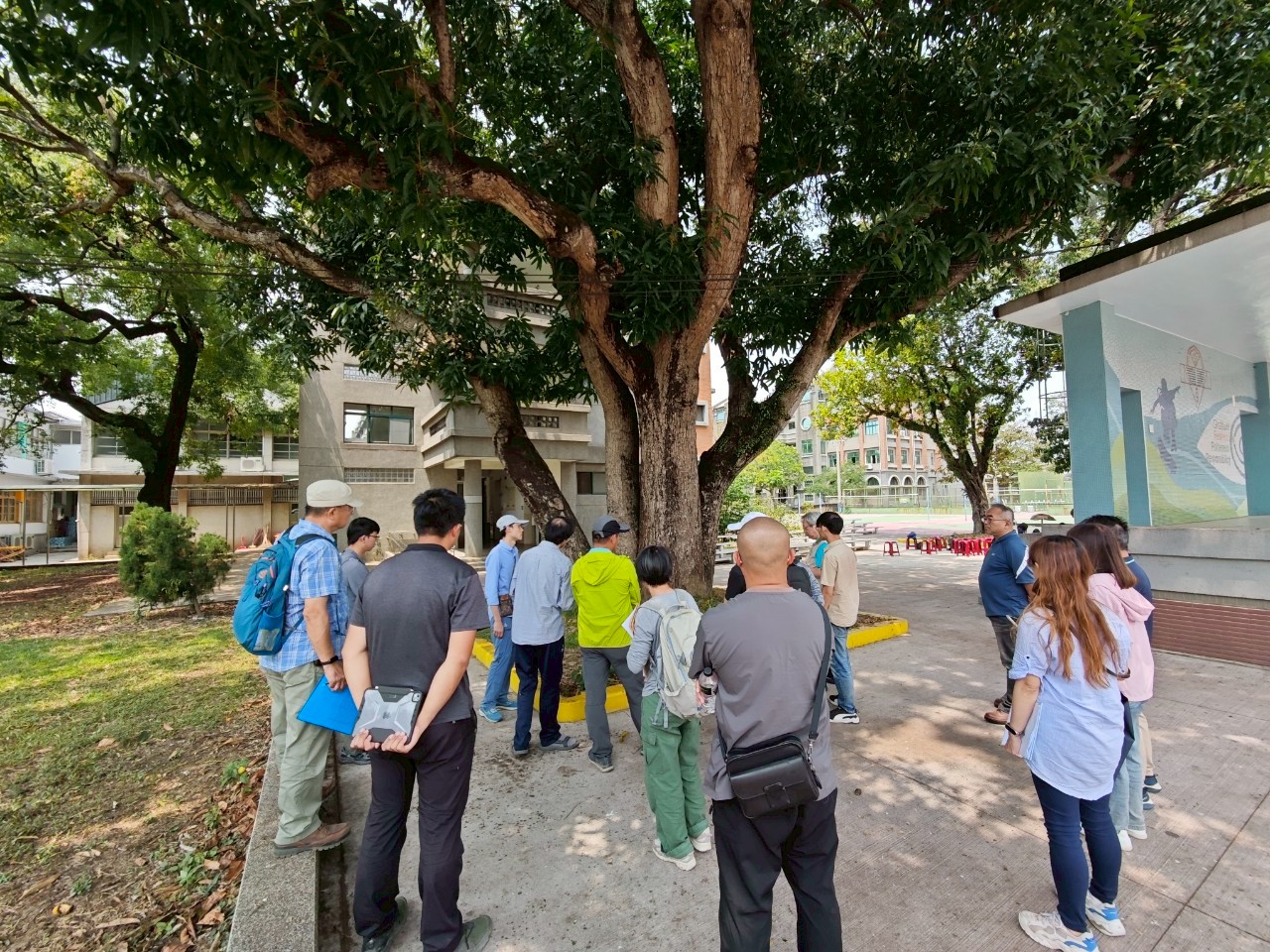 Protected Trees Health Examination and Risk Assessment Workshop
