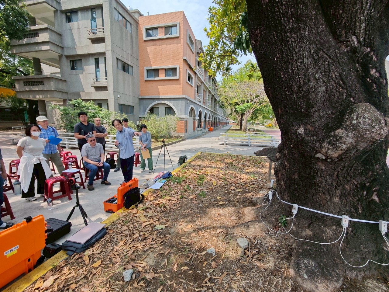 Protected Trees Health Examination