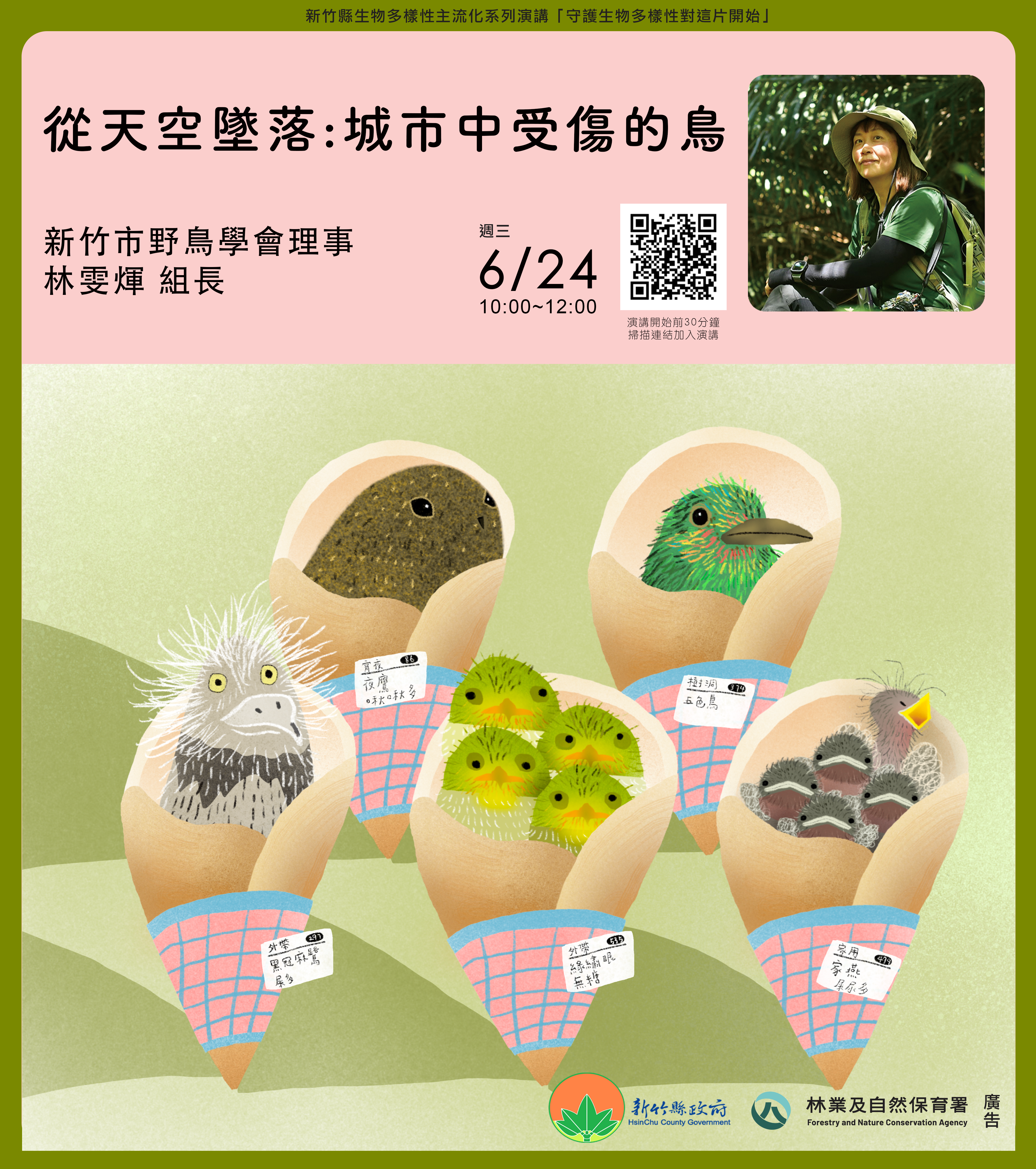 城市中受傷的鳥