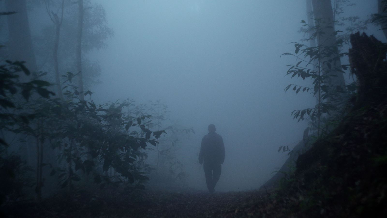 複層之森_布農族耆老陳良輝先生於藤枝山森林霧中之背影