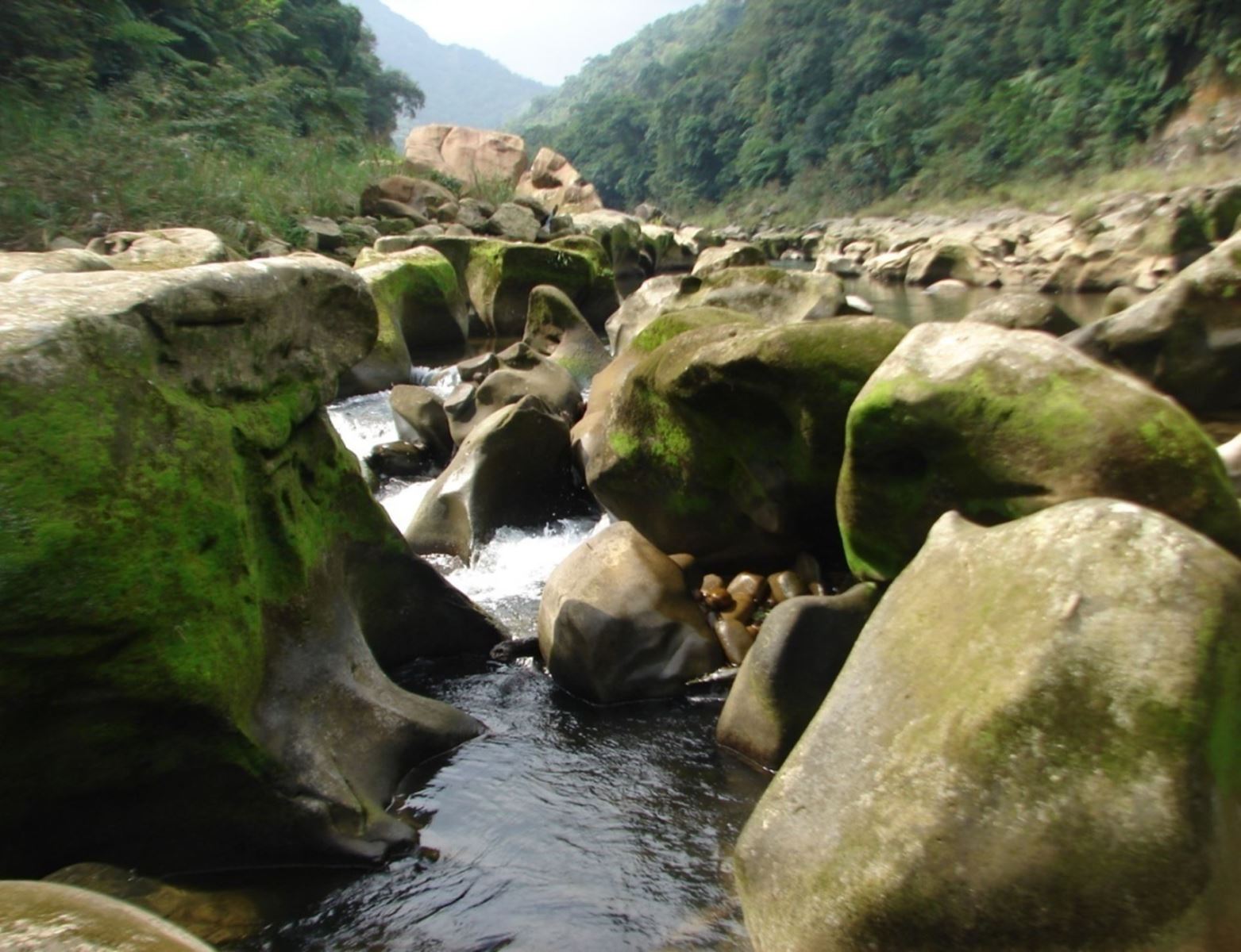 圖4、大華壺穴（DH003）