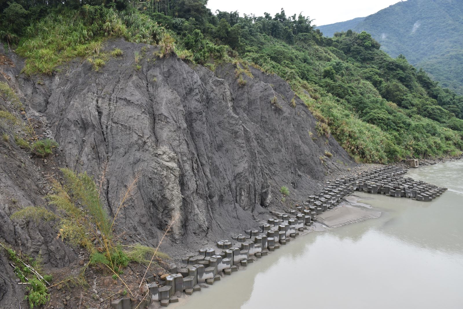 圖4、上盤岩層受到剪動影響，岩層產生嚴重扭曲