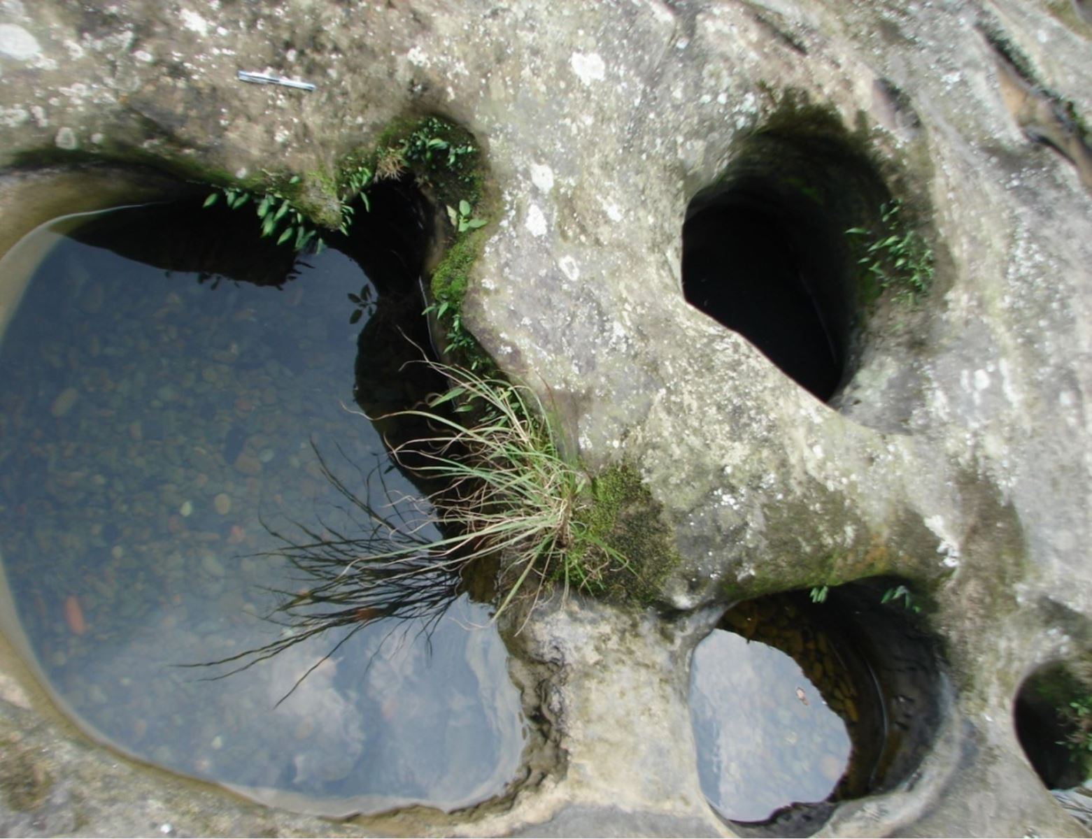 圖5、大華壺穴（DH004）