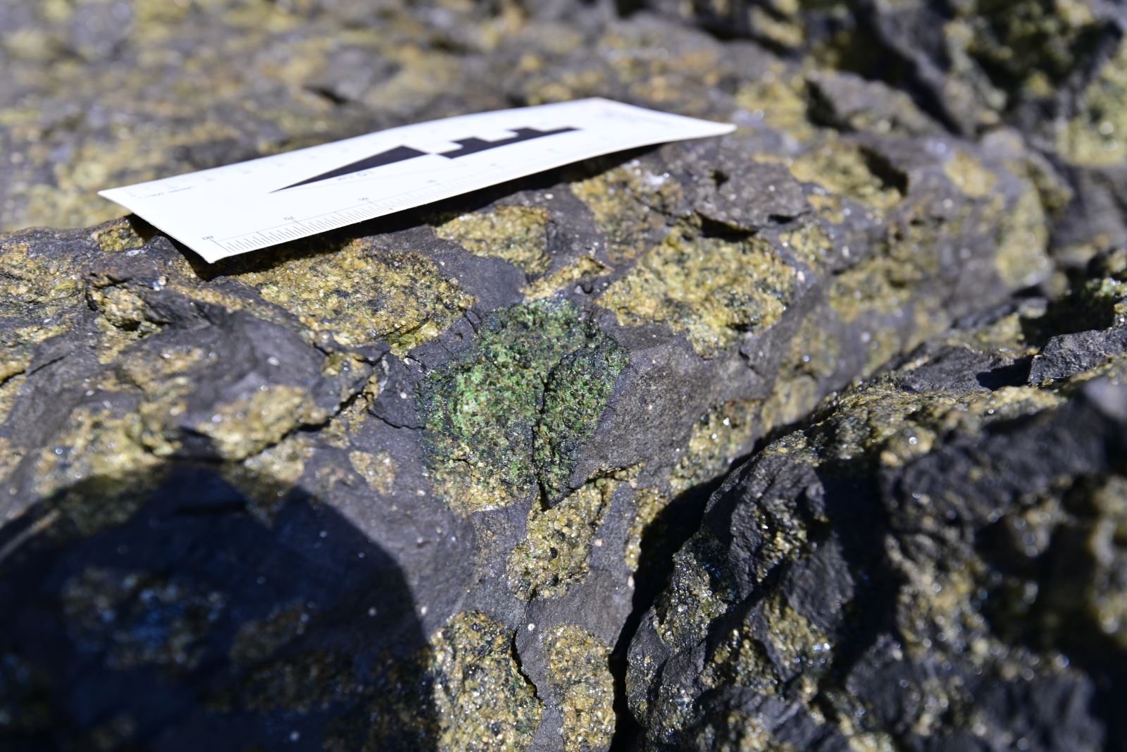 番仔石上的黃綠色橄欖岩