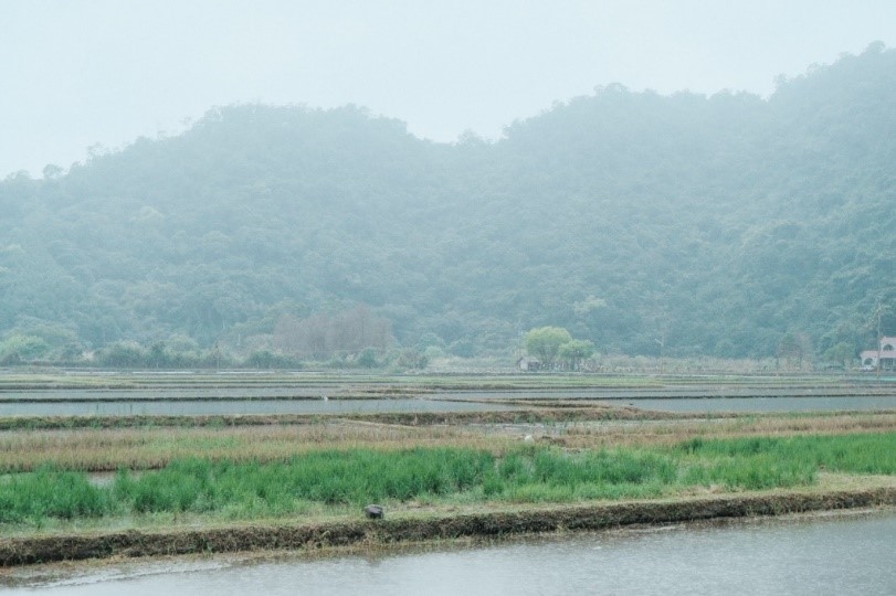 依傍在山腳下的田區，儘管天候不佳仍可感受里山地景的純樸與愜意