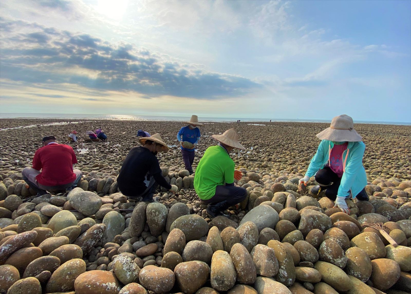 在地人常自發性地主動前往海邊修復石滬