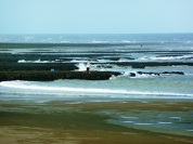 桃園觀音藻礁-海岸