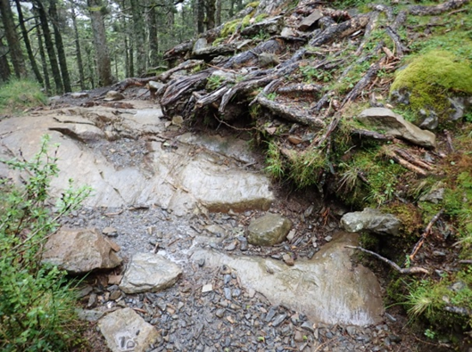 圖4 雪山主峰步道9K後的冰坎上有明顯冰河擦痕(現場環境)