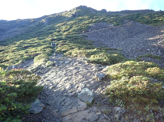 圖6 2號冰坎露出基岩