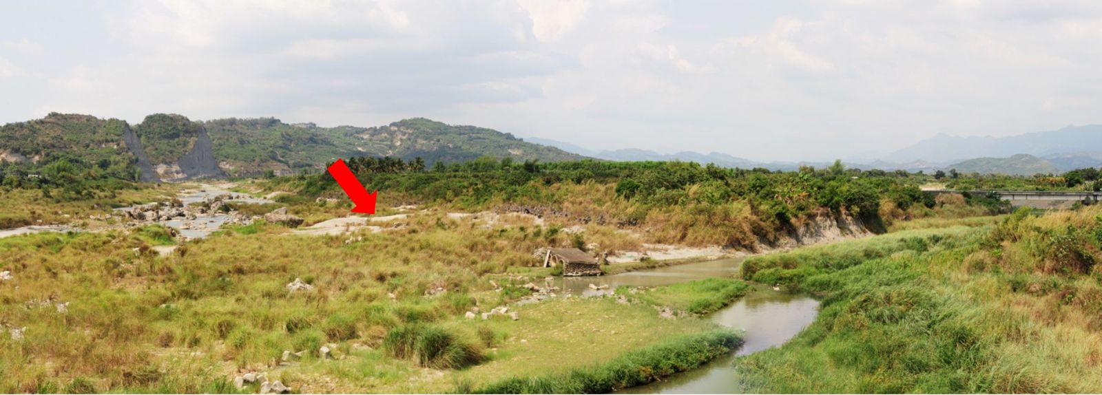 圖1. 玉井曾文溪海相化石區實地照片 (箭頭所指處即為海相化石區，化石分布於淺灰色泥質岩體內。本照片由玉井東西快速道路上向北拍攝)