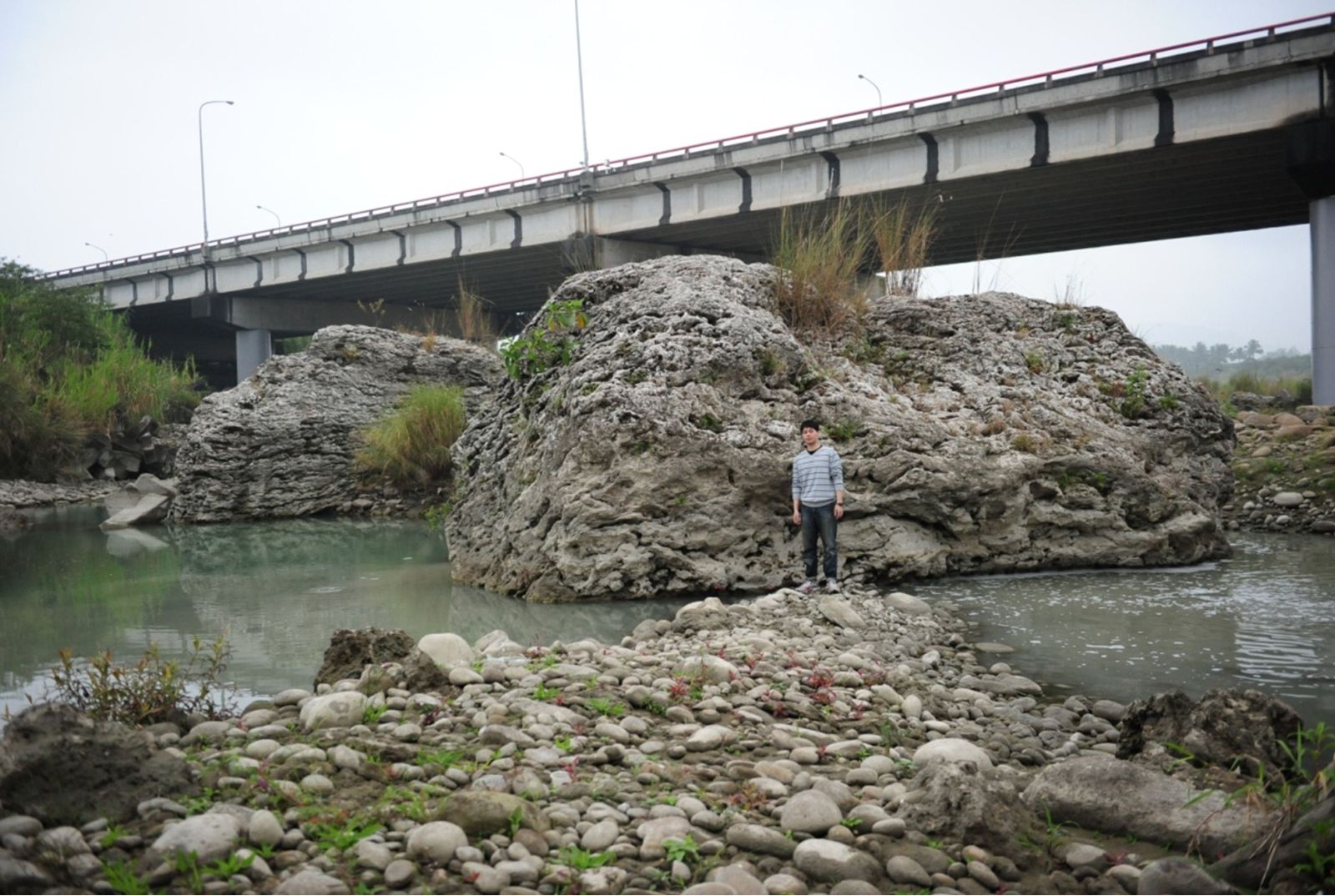 圖5. 曾文溪河道上的珊瑚礁石灰岩塊群，在玉井東北的虎頭山上亦有出露，可能為北寮頁岩層內之產物