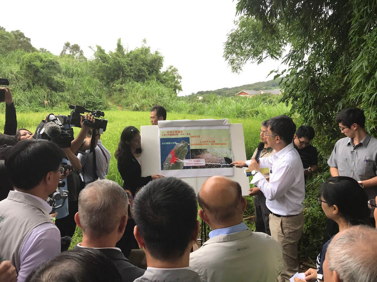 推動國土生態綠網，改善及連結石虎棲地，擴大石虎棲地面積