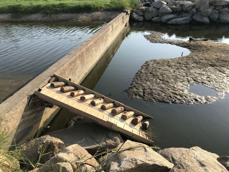 恢復串聯水域環境、擴大水獺棲息面積，設置防路殺及友善裝置提供水獺安全活動路線。(金門縣政府提供)