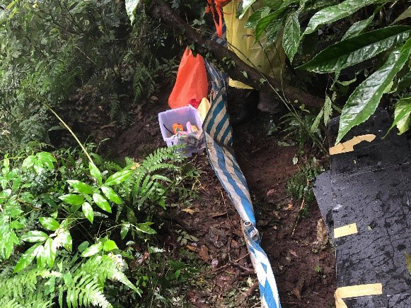 測試建立未來金絲蛇長期監測方法，以確認金絲蛇分布及族群狀況。(陳怡惠攝)