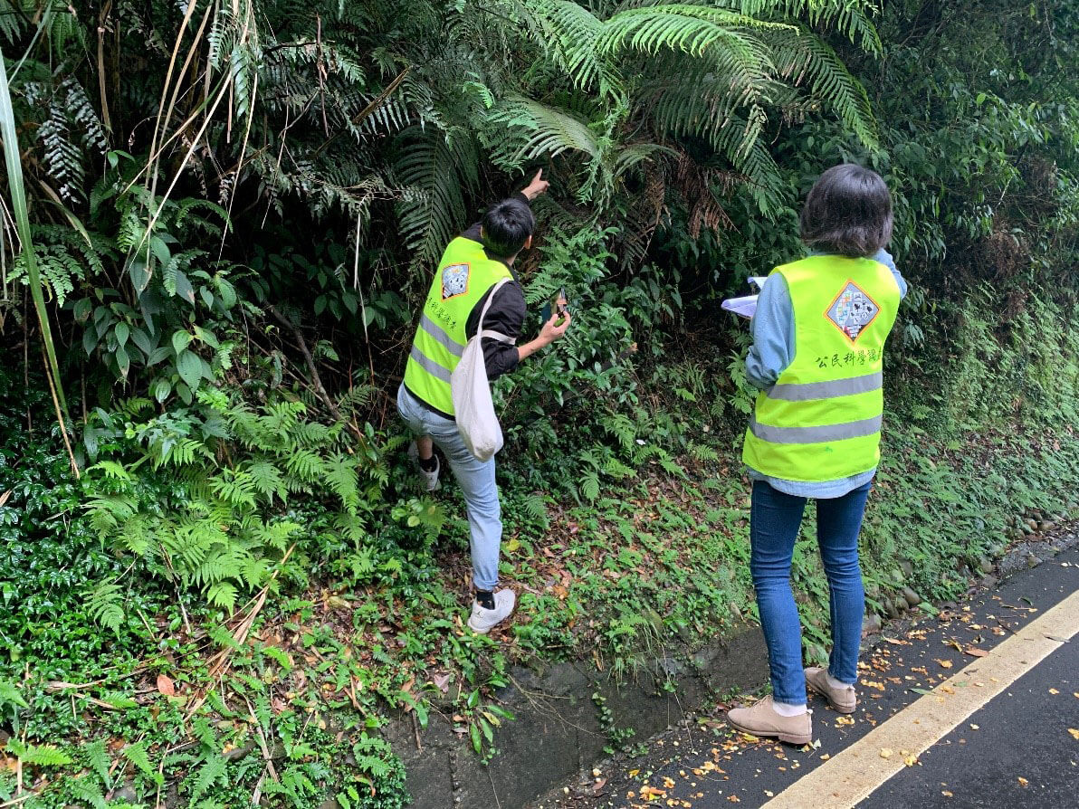 測試建立未來金絲蛇長期監測方法，以確認金絲蛇分布及族群狀況。（陳惇聿攝）