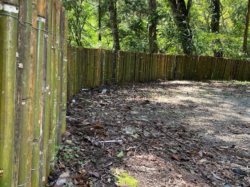 持續改善棲地環境，設置生態廊道及友善設施，漸少路殺機率。(林德恩攝)