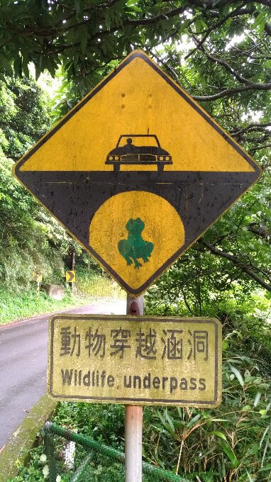 持續改善棲地環境，設置生態廊道及友善設施，漸少路殺機率。(林德恩攝)