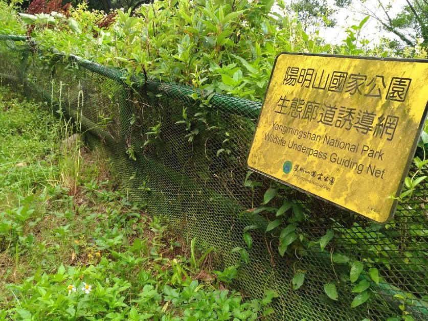 持續改善棲地環境，設置生態廊道及友善設施，漸少路殺機率。(林德恩攝)