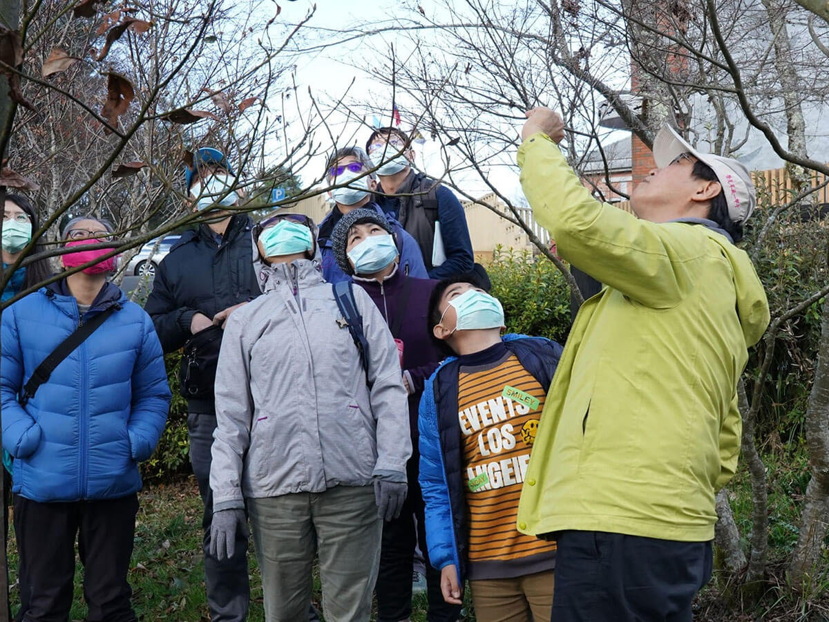 透過媒體宣導及製作相關摺頁，以及實體活動帶領民眾走訪太平山、觀霧國家森林遊樂區之臺灣檫樹棲地，增加民眾對寬尾鳳蝶及臺灣檫樹的保育認知，支持復育工作。