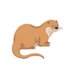 歐亞水獺插畫