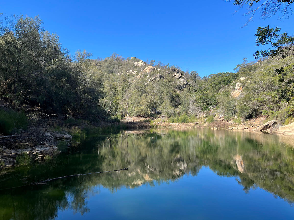 水獺喜好水域周邊植被覆蓋良好，可供躲藏休息的岩石、木頭或人工設施，邊坡不會太陡峭，有利進出水域（洪佩琦攝）