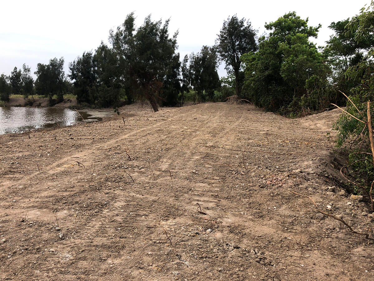 水域兩岸或周遭的植被是水獺育幼、休息、避敵的處所，若遭到清除，則使水獺的棲所失去遮蔽而離開（洪佩琦攝）