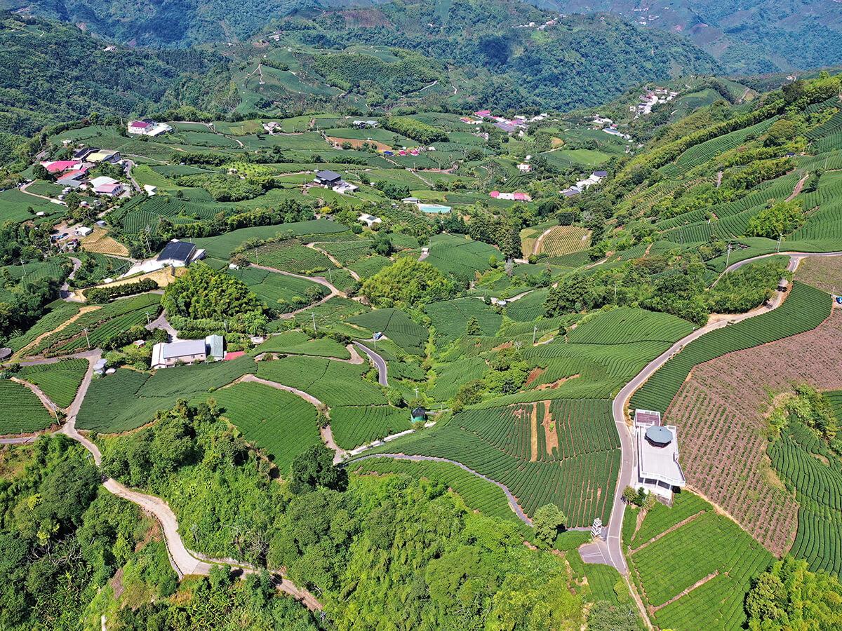 山麻雀棲息在由次生林、農耕地、溪流與草生地等自然環境，以及人為居所鑲嵌之地景樣貌，即里山環境（陳建樺攝）