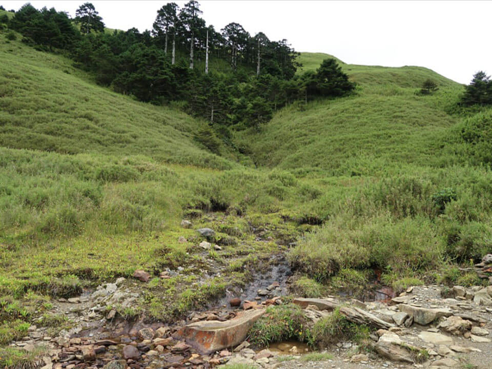 受到登山、露營風氣盛行的影響，山椒魚周遭棲地品質變化需要受到關注及改善，尤其是山椒魚對於水源的依賴程度很高，維護水質避免受到汙染，是亟待解決的課題（林春富攝）
