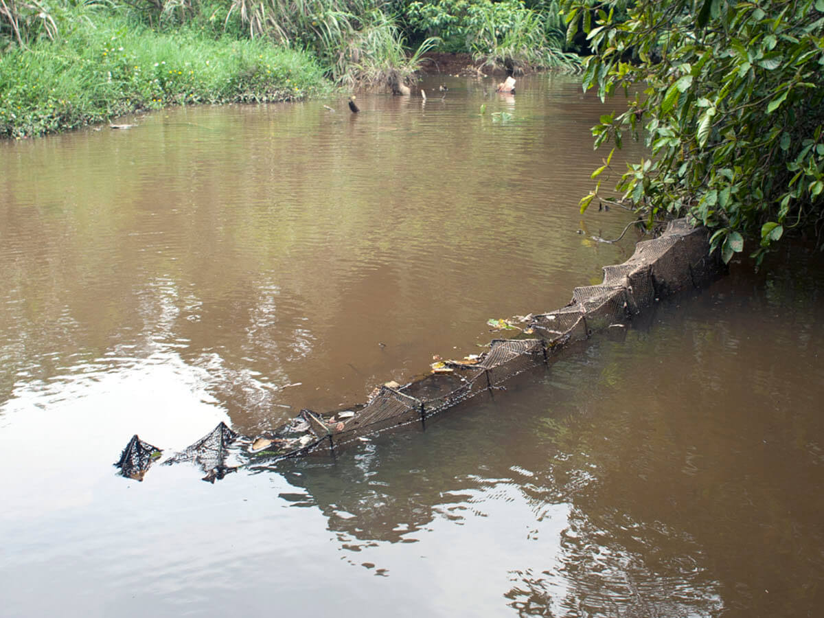 由宜蘭縣與花蓮縣調查柴棺龜族群現況結果顯示，其族群快速消失或低族群密度的原因主要為非法獵捕。可發現摺疊式魚籠、蜈蚣網或自製陷阱籠，內部放置漂浮物(如空寶特瓶)，以防止淡水龜溺水死亡；部分淺水域環境可直接徒手捕捉淡水龜類，增加非法獵捕執法的困難度
