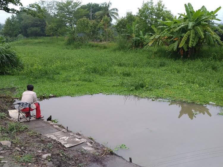 位於南投與臺中交界的私人農場周遭埤塘，是巴氏銀鮈主要分布棲地之一。此地存在的人為採獵行為，可能對巴氏銀鮈族群存在威脅（林文隆攝）