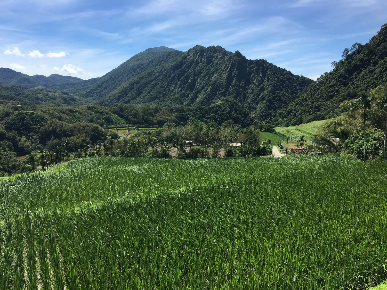 圖3 花蓮富里鄉豐南村吉哈拉艾文化景觀是台灣東部典型的「森-川-里」里山地景